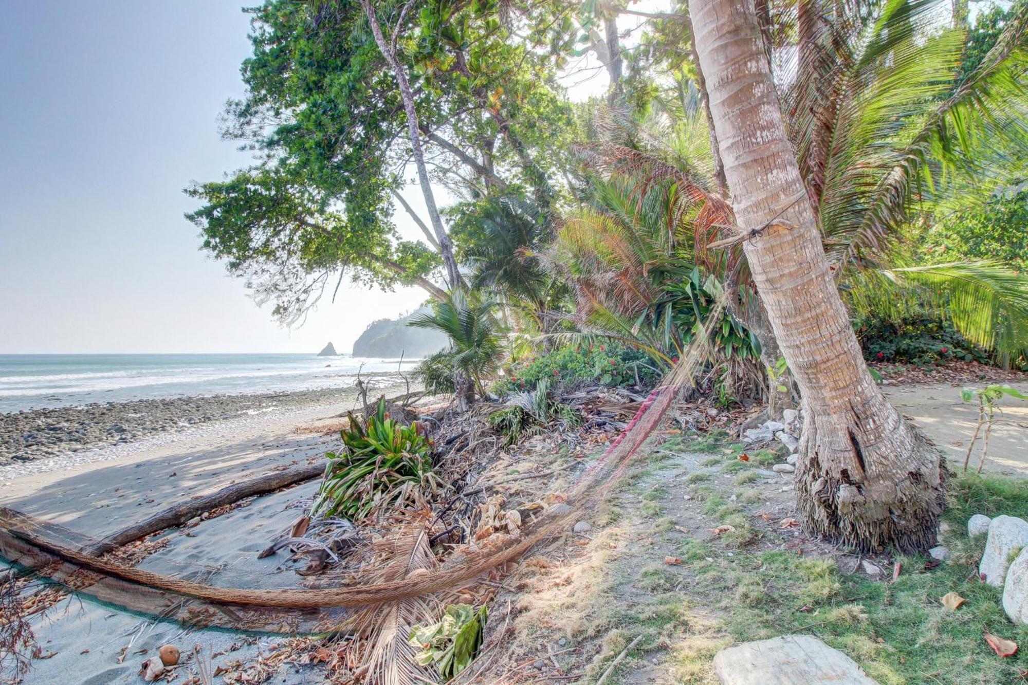 Casa Contiki Villa Cabo Matapalo Eksteriør billede