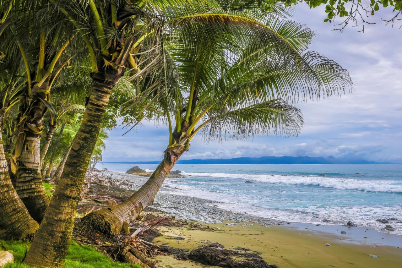 Casa Contiki Villa Cabo Matapalo Eksteriør billede