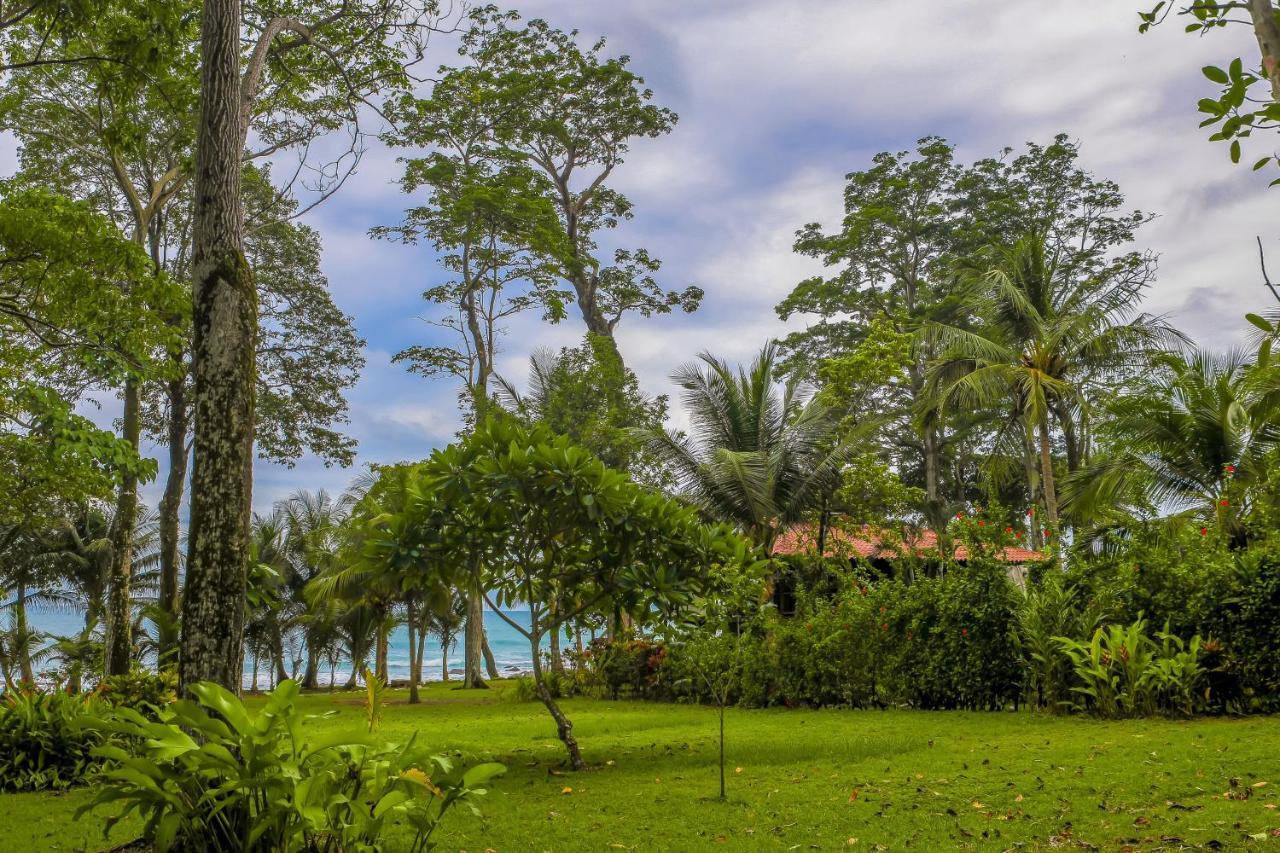 Casa Contiki Villa Cabo Matapalo Eksteriør billede